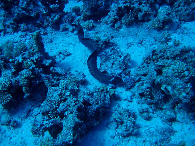 2009-12-05 10-45-33S.jpg